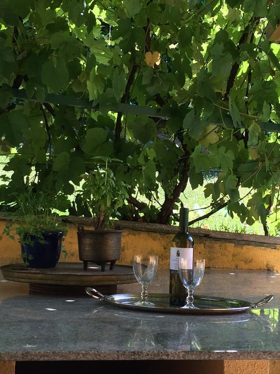 La Casanova Bed & Breakfast Torino Dış mekan fotoğraf